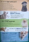 새로운 시작으로 성공시대를 열어가는 미래진안 : 주천면 > 소통/참여 > 포토갤러리 상세보기