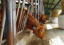 새로운 시작으로 성공시대를 열어가는 미래진안 : 열린마당 > 언론보도 상세보기