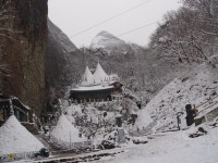 모두가 행복한 기본사회 진안 : 열린마당 > 포토갤러리 상세보기