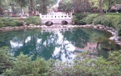 새로운 시작으로 성공시대를 열어가는 미래 진안 : 군민소통 > 소통의 장 상세보기