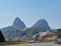새로운 시작으로 성공시대를 열어가는 미래진안 : 마이산소통 > 마이산갤러리 상세보기