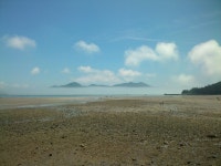 조개캐기 체험장의 해무 | 상세 | 홍보갤러리 : 진도군 관광문화