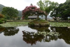 2013 진도 전국 사진 공모전 은상(운림산방) | 상세 | 홍보갤러리 : 진도군 관광문화