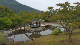 백동 무궁화 동산 내 정자와 연못 | 상세 | 포토갤러리 : 진도군청