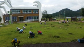 진도 환경 클린운동 - 의신면 돈지리 | 상세 | 환경클린운동 추진실적 : 진도군청