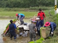 진도군, 쌀값 하락에 따른 농산물 안정기금 농가 지급 결정 | 상세 | 군정소식
