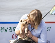 2016 진도 전국 사진 공모전 입선(진도개사랑) | 상세 | 홍보갤러리 : 진도군 관광문화