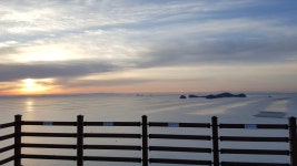 진도가볼만곳-진도접도 남망산 웰빙등산로 가는길(감사합니다,마리안선생님) | 상세 | 칭찬합시다 : 진도군청