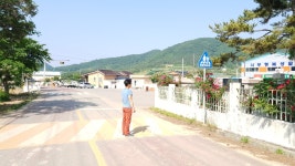 진도서초등학교 스쿨 존(School Zone) 설치 진도서등학교 4학년 담임교사 이성호 | 상세 | 군수에게 바란다(군민소통방) : 진도군 열린군수실