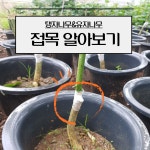 진도군 농업기술센터