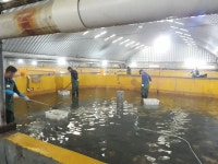 진도군 신기마을, ‘도시민 전남 어민되다’ 성공적 운영 | 상세 | 군정소식 : 진도군청