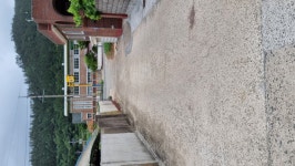 고군면 고성마을도로 진입로 개선부탁드림니다 | 상세 | 군수에게 바란다(군민소통방) : 진도군 열린군수실