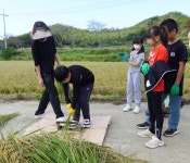 진도군 군내북초등학교 학생들, 소외계층에게 사랑의 떡 전달 | 상세 | 군정소식 : 진도군청