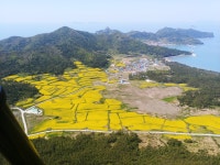 목록 | 홍보영상 및 사진 : 진도군 관광문화