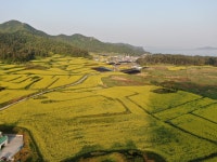 목록 | 홍보영상 및 사진 : 진도군 관광문화