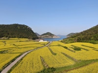 목록 | 홍보영상 및 사진 : 진도군 관광문화