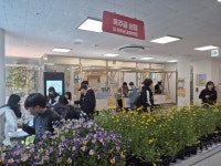 진도군, 제2회 옥주골 식물나눔&어울림 장터 개최 | 상세 | 군정소식 : 진도군청