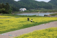 아리랑마을 | 상세 | 아리랑마을 : 진도군 관광문화