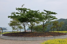 목록 | 아리랑마을 : 진도군 관광문화