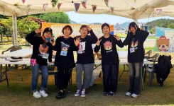 진도군 어린이와 옥주골 창작소의 예술이 함께한 특별한 시간 | 상세 | 군정소식 : 진도군청