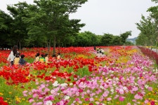 목록 | 군정소식