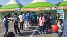 ** 진도 실업고등학교에서 | 상세 | 자유게시판 : 진도군청