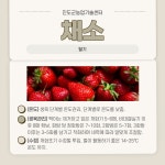 진도군 농업기술센터