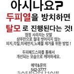 새론헤어에서 두피헤드스파로 케어 받으세요~ | 상세 | 자유게시판 : 진도군청
