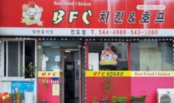××× 신규가맹점 BFC치킨 포장/배달 실시 ××× | 상세 | 벼룩시장 : 진도군청