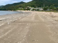 진도군 의신면사무소입니다 | 상세 | 자유게시판 : 진도군청