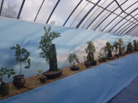 진도군 농업기술센터