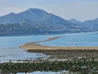 2024년 4월6일 모도 소망의 길 답사 2편. | 상세 | 자유게시판 : 진도군청