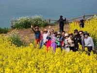 2024년 4월10일 모세의 기적 모도 소망의 길 걷기 1편. | 상세 | 자유게시판 : 진도군청