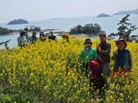 2024년 4월10일 모세의 기적 모도 소망의 길 걷기 2편. | 상세 | 자유게시판 : 진도군청