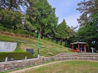 군강공원 충혼탑 주변 정비 감사드립니다. | 상세 | 자유게시판 : 진도군청