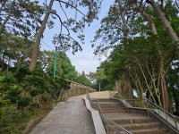 군강공원 충혼탑 주변 정비 감사드립니다. | 상세 | 자유게시판 : 진도군청