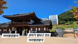 아리랑마을 관광지 직원분들을 칭찬합니다. | 상세 | 칭찬합시다 : 진도군청