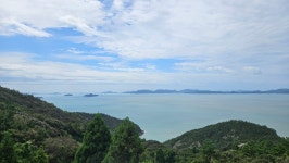 급치산전망대 환경 관리 칭찬 | 상세 | 칭찬합시다 : 진도군청