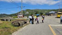 사적 제127호 남도진성 쌍운교 앞 도로교량 철거(우회) 건의 | 상세 | 자유게시판 : 진도군청