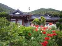 민박 : 진도군 관광문화