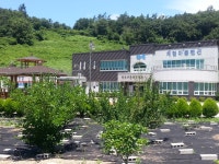 펜션 : 진도군 관광문화
