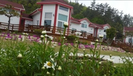 펜션 : 진도군 관광문화