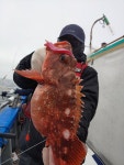 (西)서해조황 - 16일 진도피싱랜드 우럭 쏨뱅이 열기 쿨러만땅