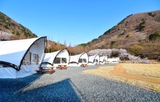 월아산 숲속의 진주