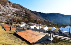 월아산 숲속의 진주