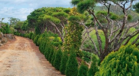 진주정원 - 소나무농원