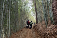 양마산 물빛길 | 진양호공원