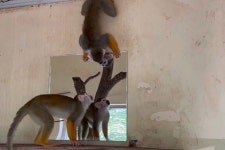 소개 | 진양호공원