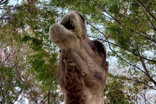 소개 | 진양호공원