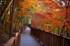 진양호 노을길 | 진양호공원